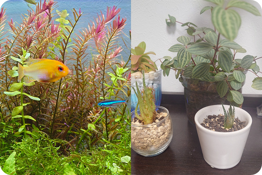 休日の過ごし方