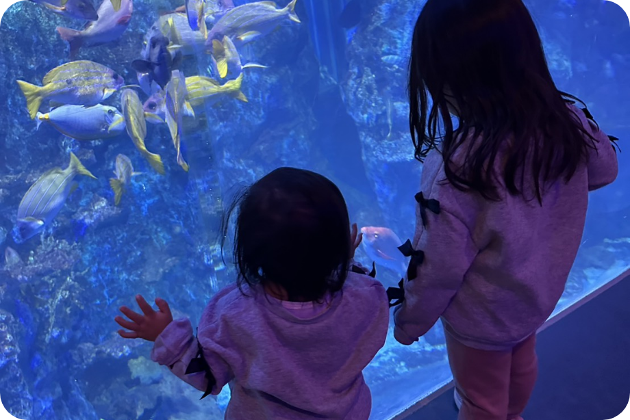 休日の過ごし方